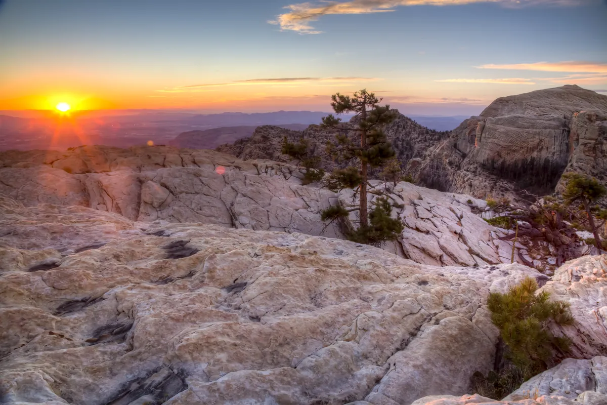 Pale sandstone ledges and a pine at sunset in Red Rock Canyon, with the sun low over the desert