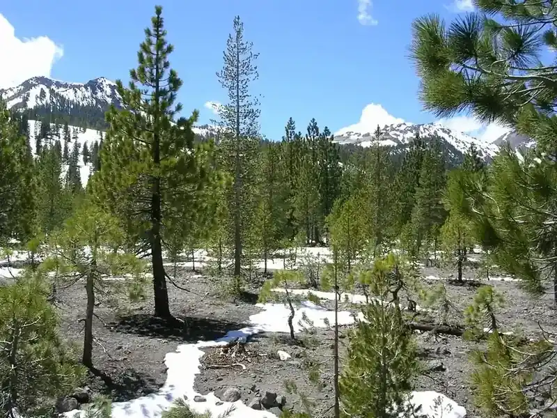 The Devastated Area below Lassen Peak
