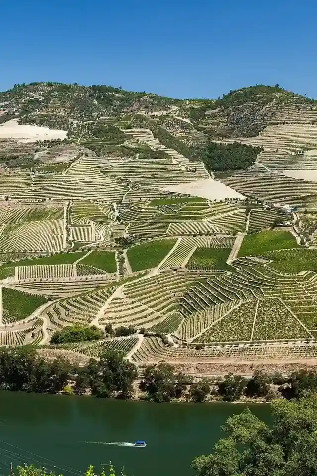 Terraced Douro Valley vineyards above the river with a boat
