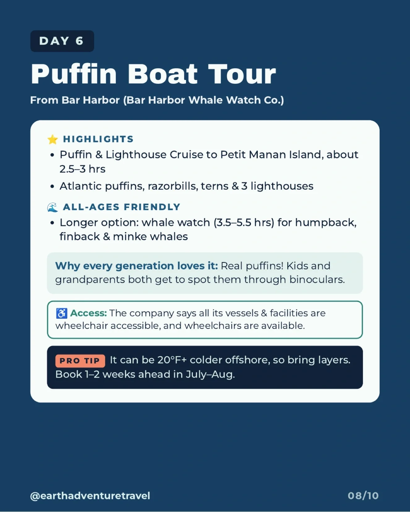 Illustration of Atlantic puffins seen from a Bar Harbor wildlife cruise