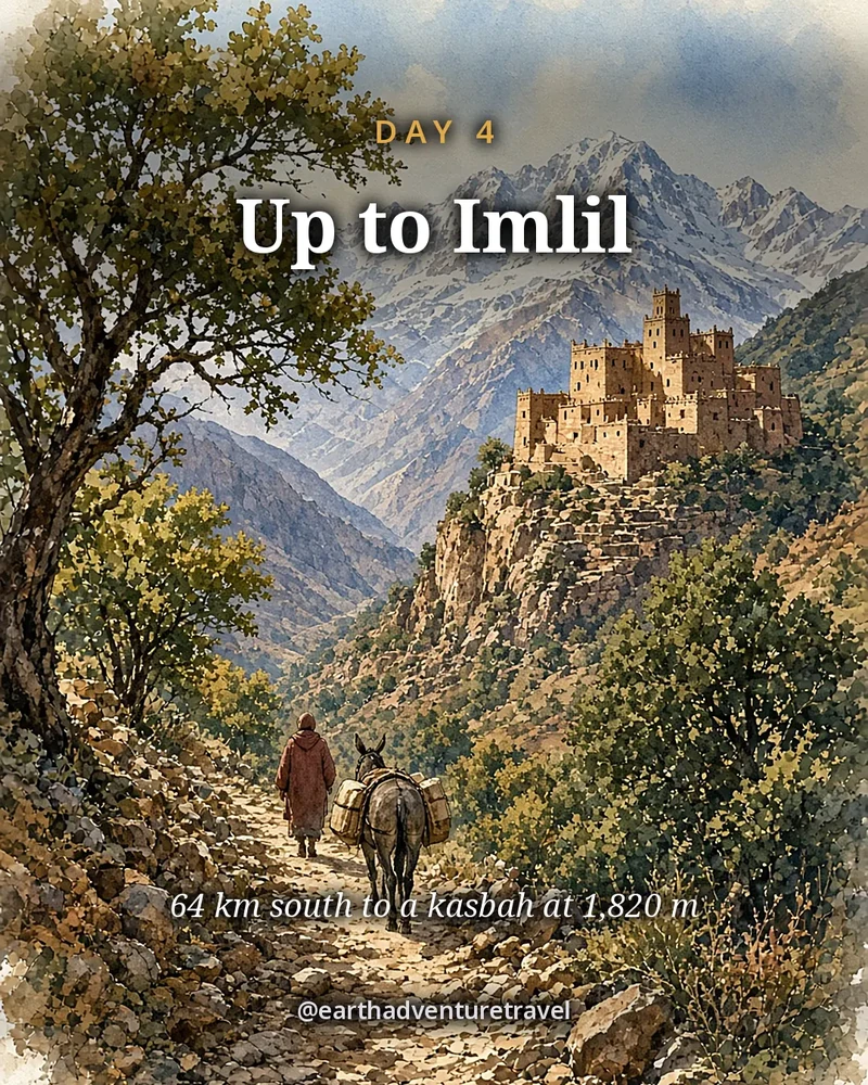 Illustration: a mule path through walnut trees, a muleteer seen from behind, the Kasbah du Toubkal on its spur and the snowy Toubkal massif behind, illustrated day card for Day 4