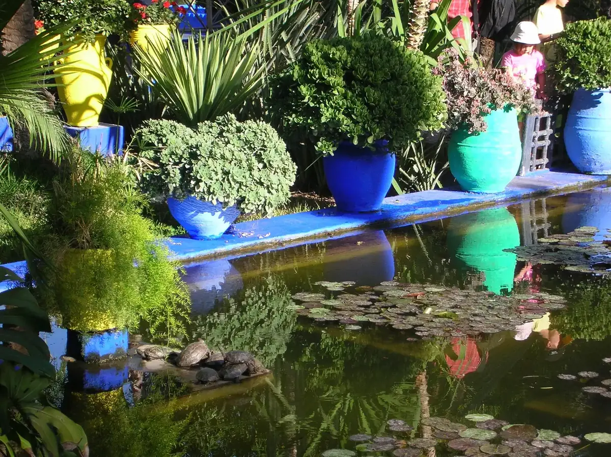 Cobalt-blue walls, cacti and plants at the Jardin Majorelle