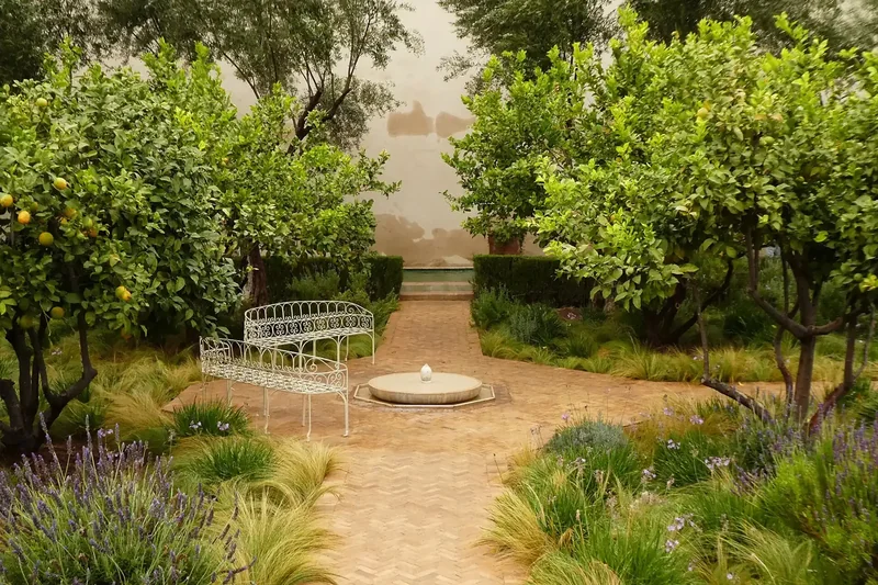 Water channels and plants in Le Jardin Secret, Marrakech