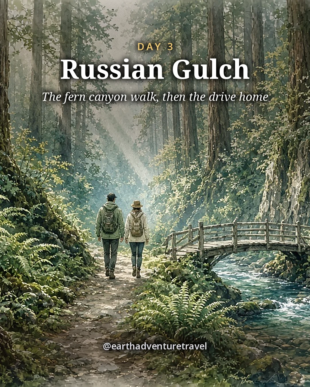 Illustration: two friends from behind on a flat creekside trail with sword ferns, mossy logs and a small wooden footbridge under tall redwoods in misty morning light, illustrated day card for Day 3
