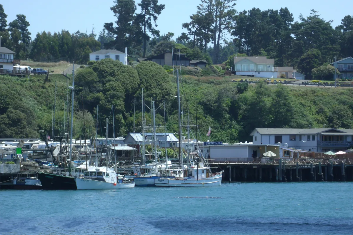 Fishing boats moored at wooden docks in Noyo Harbor, Fort Bragg, below a wooded bank