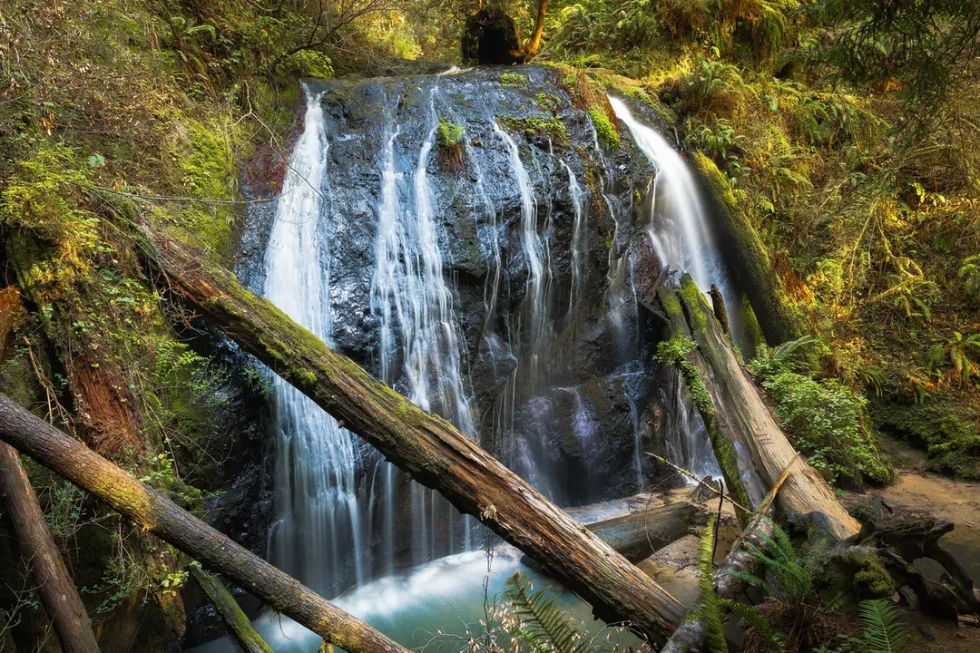 A waterfall pouring over rocks into a pool with fallen logs in a green forest in Russian Gulch State Park