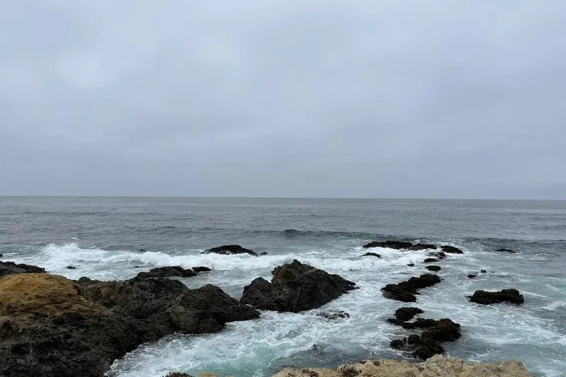 A rocky shoreline under a grey sky at the Mendocino Coast Botanical Gardens