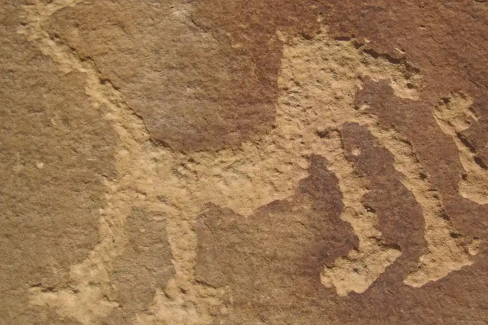Ancestral Puebloan petroglyphs carved into sandstone at Mesa Verde