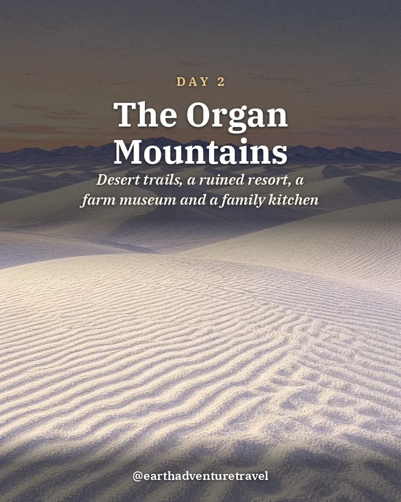 Illustrated day card: Desert trails, a ruined resort, a farm museum and a family kitchen