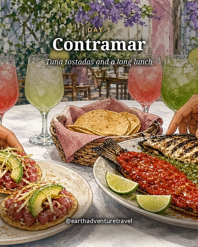 Illustration: a lunch table at Contramar seen from above, tuna tostadas with chipotle mayo, crisp leeks and avocado on a plate, a whole grilled fish split and dressed half red and half green, lime halves, salsas, tortillas in a cloth and four friends’ hands reaching in, illustrated day card for Day 1