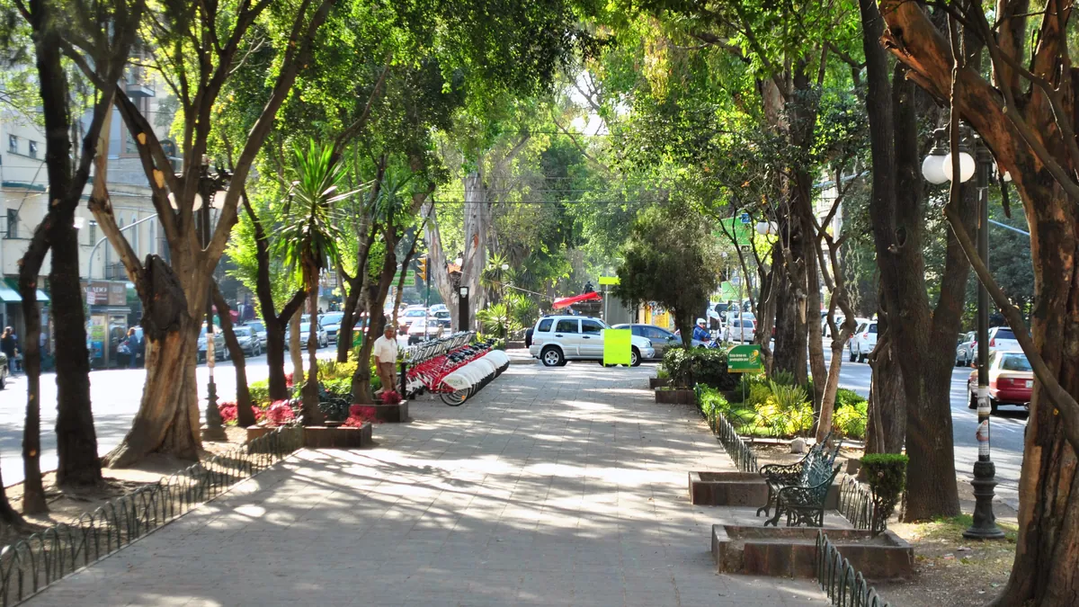 Avenida Álvaro Obregón in Colonia Roma, Mexico City, with its tree-lined central walk