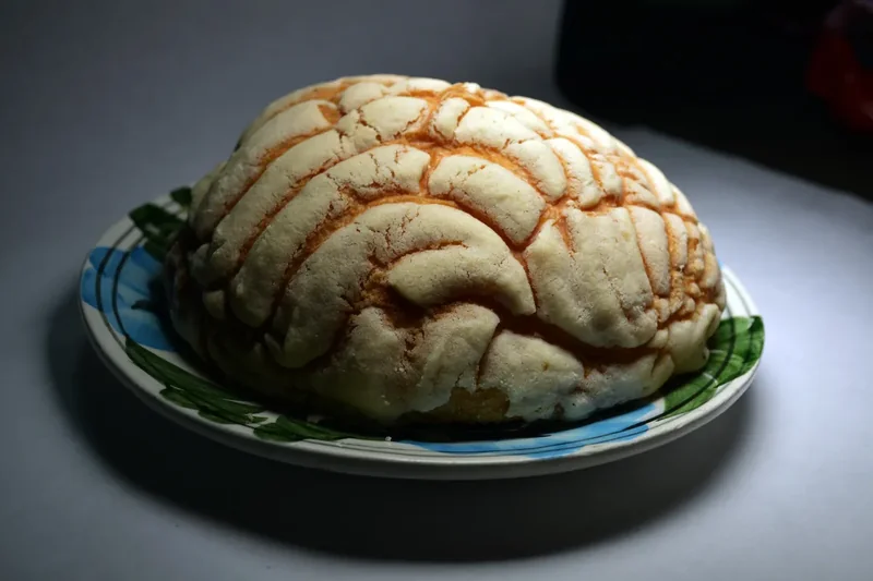 A concha, the Mexican sweet bread with a sugar-shell top