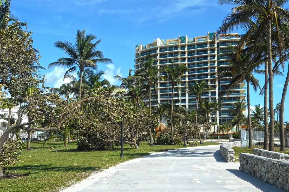 A paved beach path lined with palms and sea grape, high-rises behind