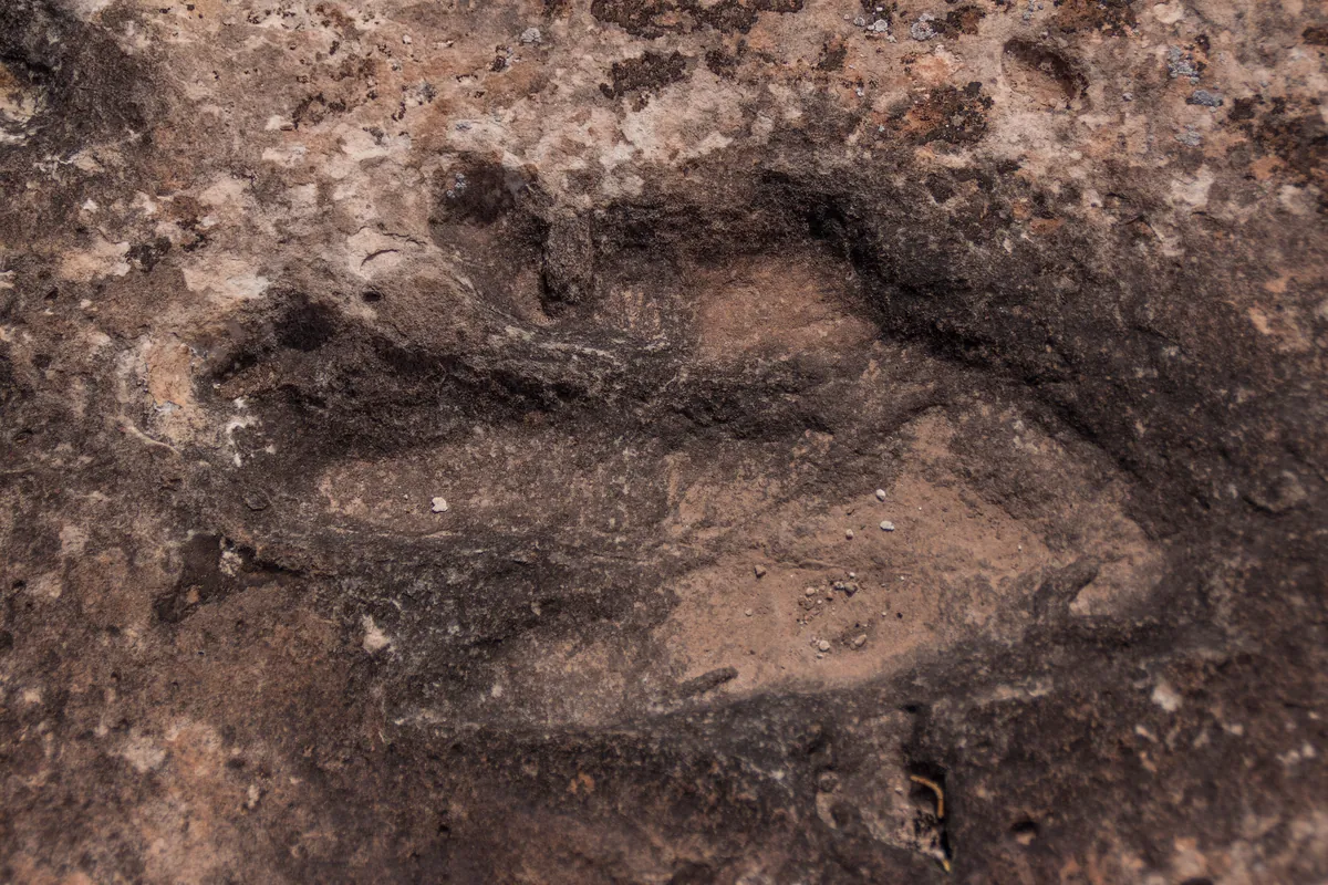 Dinosaur footprints in a slab of rock near Moab, Utah