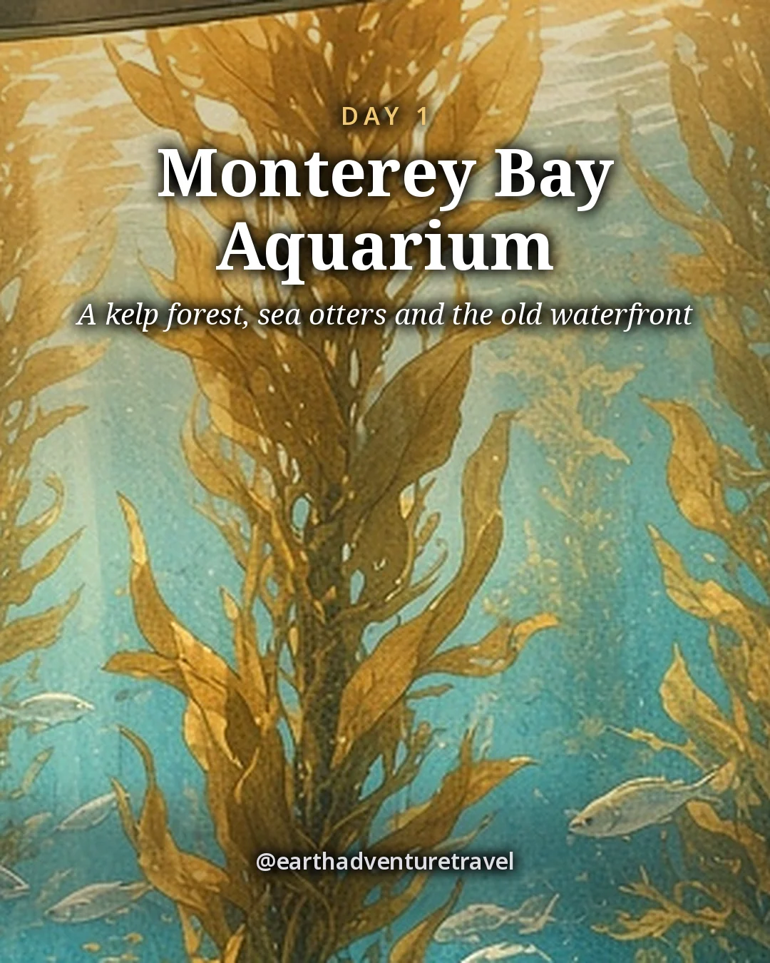 Illustration: a towering underwater kelp forest of golden fronds and silver fish seen through a tall curved aquarium window with small silhouettes in front, illustrated day card for Day 1