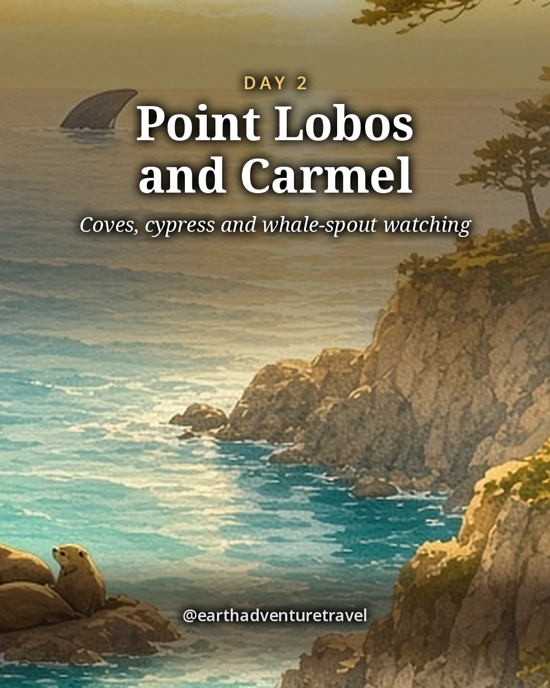 Illustration: a granite cove of turquoise water ringed by windswept cypress trees, harbour seals on the rocks and a distant whale spout on the horizon, illustrated day card for Day 2