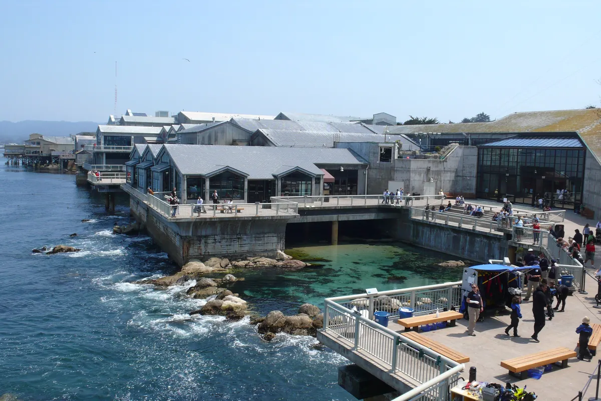 The back of the Monterey Bay Aquarium building above the rocky shore of Monterey Bay