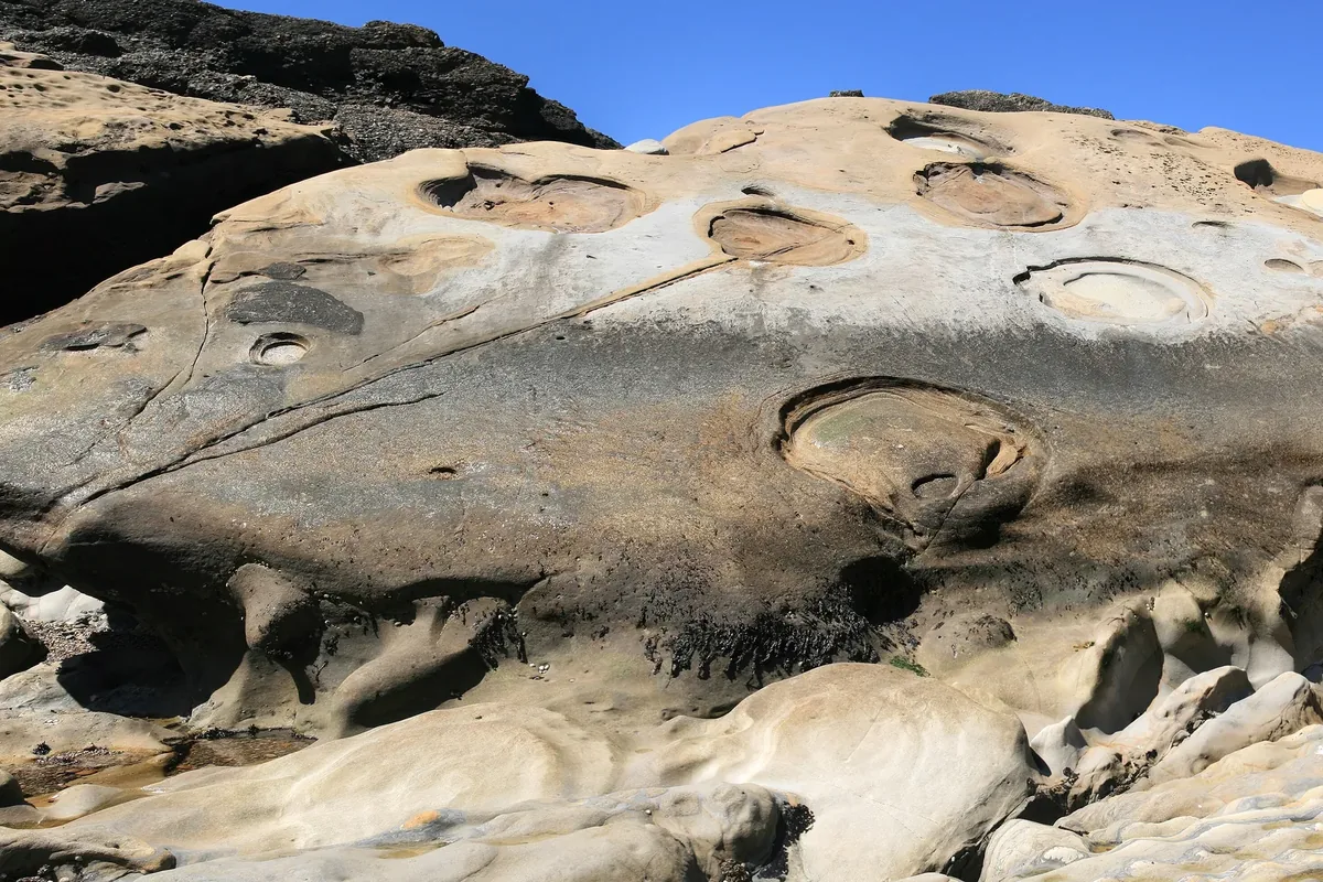 Wave-worn granite rocks and a cove at Point Lobos State Natural Reserve