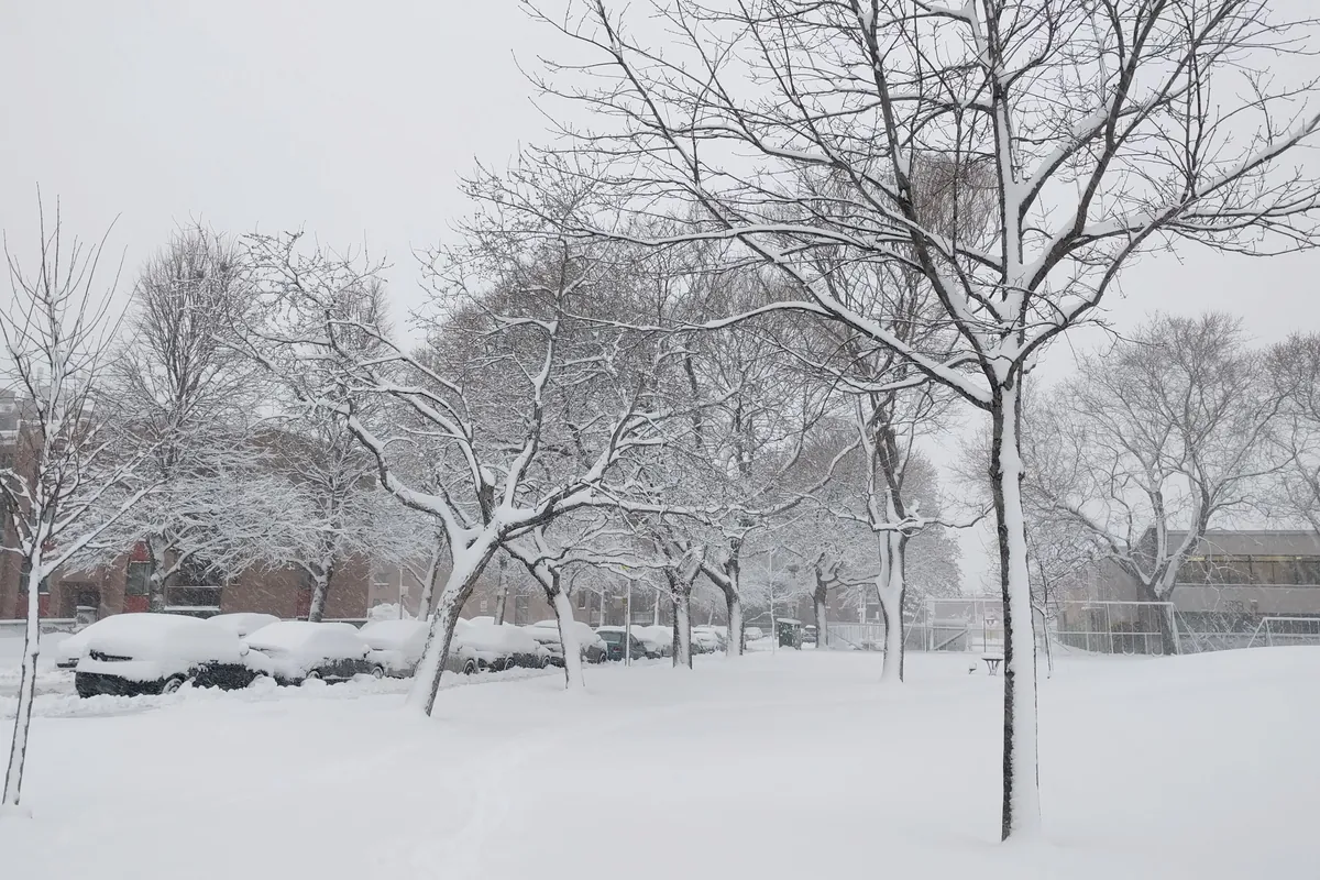 Snow falling on a Montréal street in winter