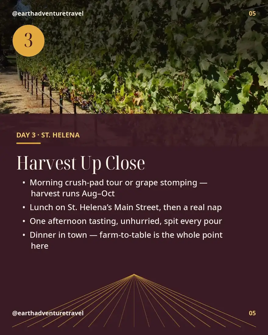 Day 3 itinerary card: harvest day in St. Helena