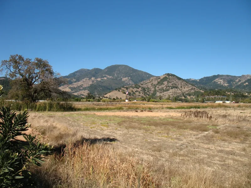 Mount St. Helena rising above wooded hills at the top of the Napa Valley