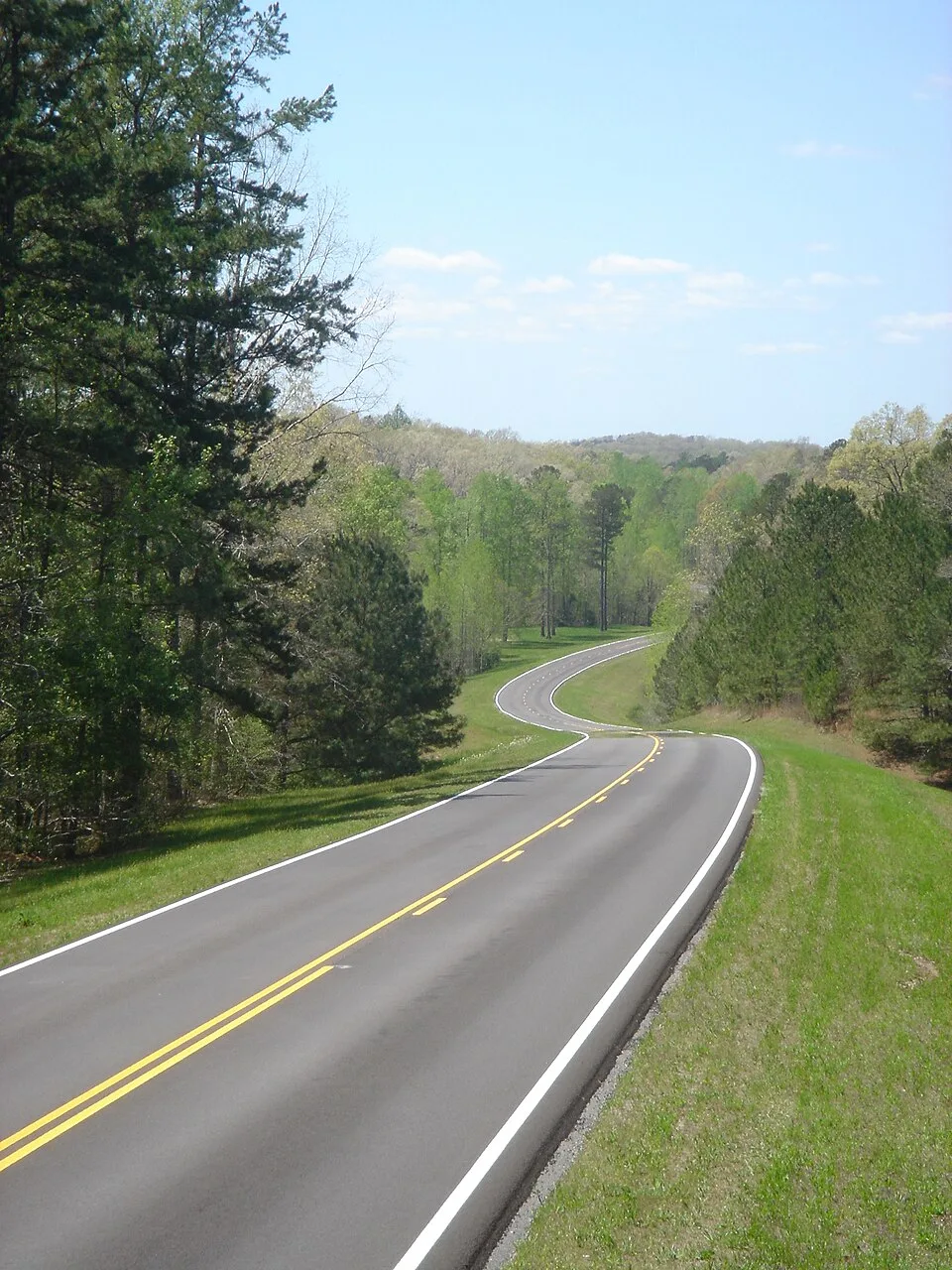 The Natchez Trace Parkway winding through Mississippi forest