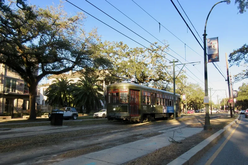 An olive-green St. Charles streetcar under live oaks in New Orleans