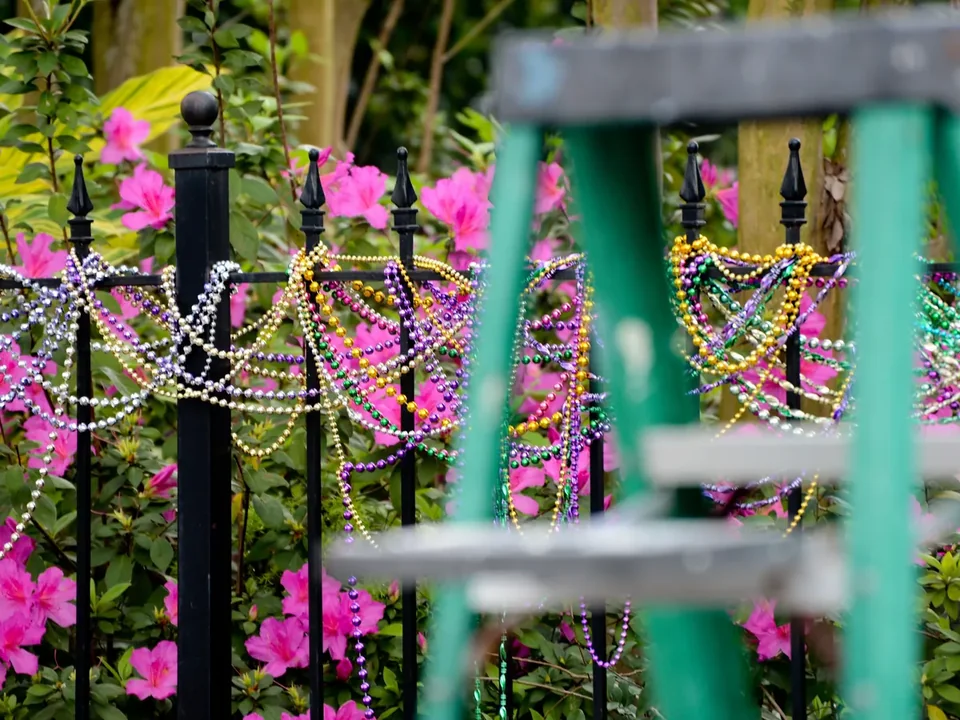 An Uptown New Orleans iron fence hung with Mardi Gras beads