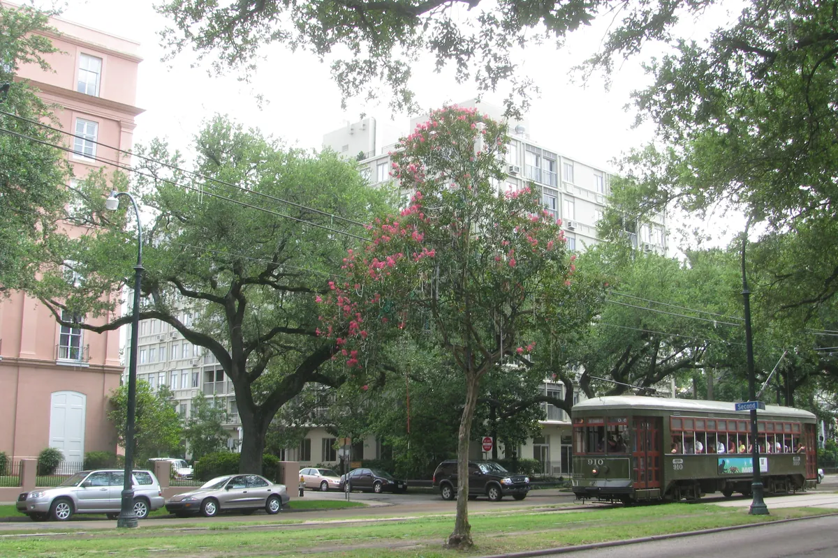 A St. Charles streetcar with Mardi Gras beads caught on the overhead wires in New Orleans