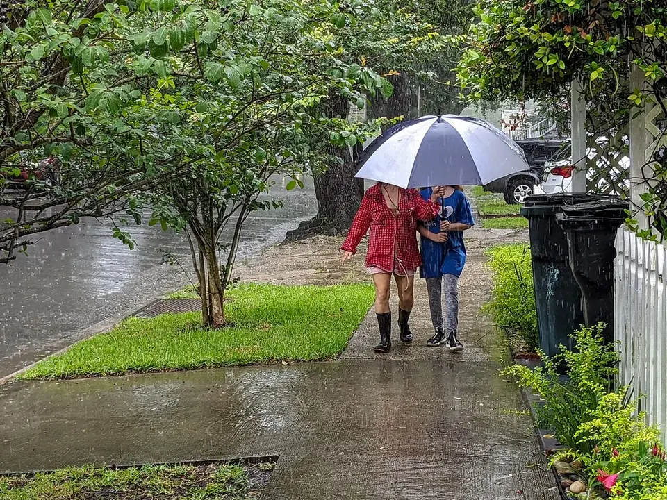 Two people sharing an umbrella on a wet, tree-lined sidewalk in Mid-City New Orleans