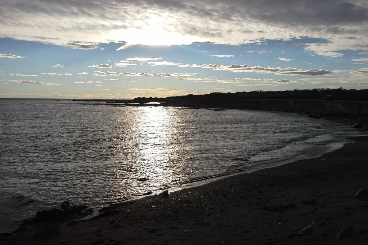 The grassy headland and rocky shore of Brenton Point State Park in Newport