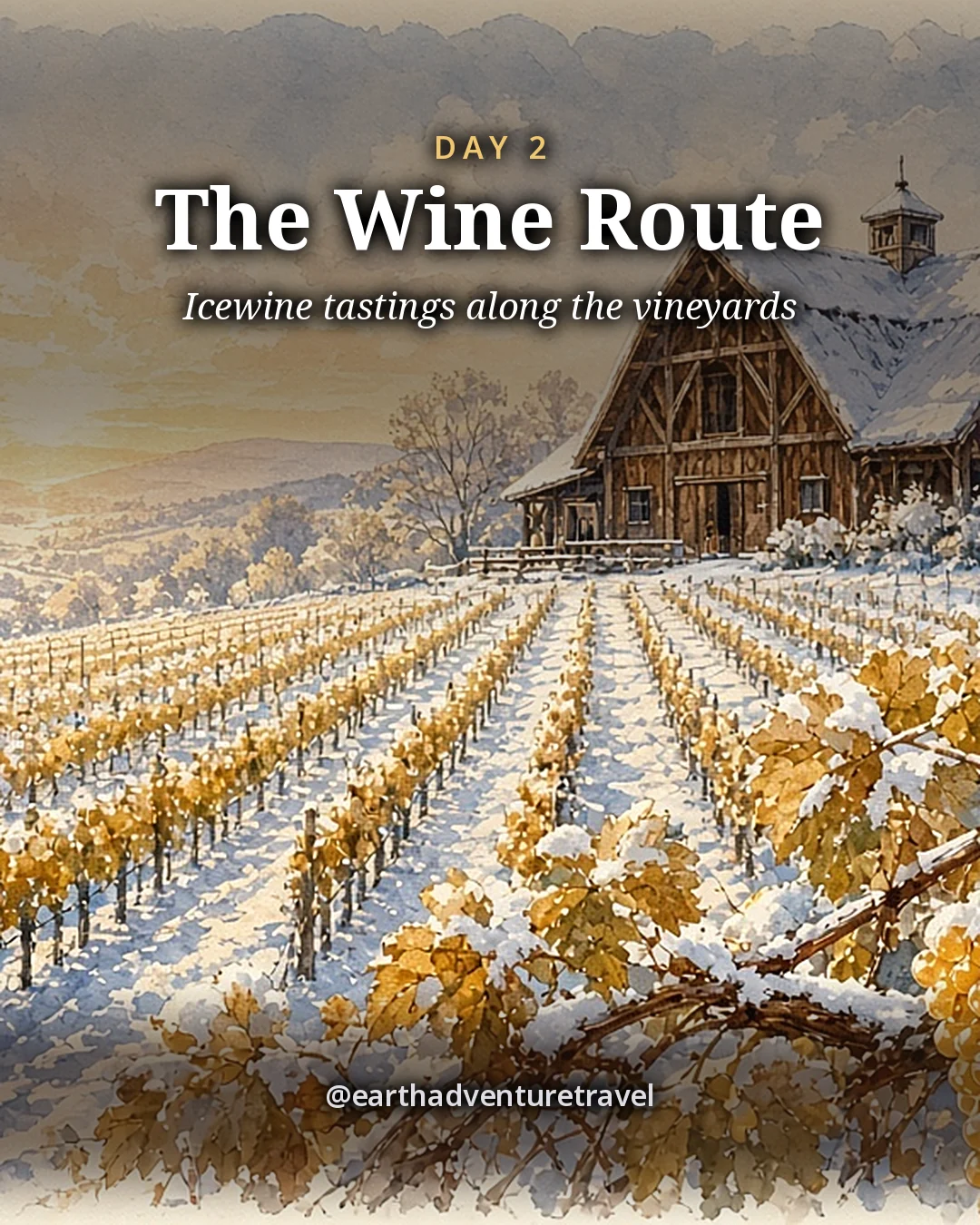 Illustration: frosted vineyard rows with frozen golden grapes still on the vines and a timber winery barn under a pale winter sky, illustrated day card for Day 2