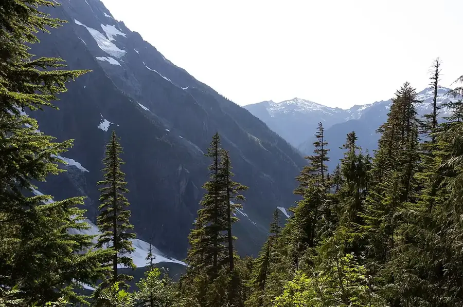 Alpine meadows at Cascade Pass