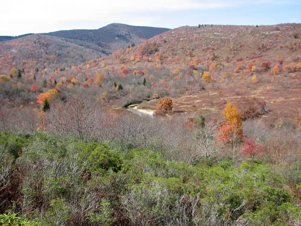 Fall color sweeping across the Graveyard Fields overlook valley, Blue Ridge Parkway