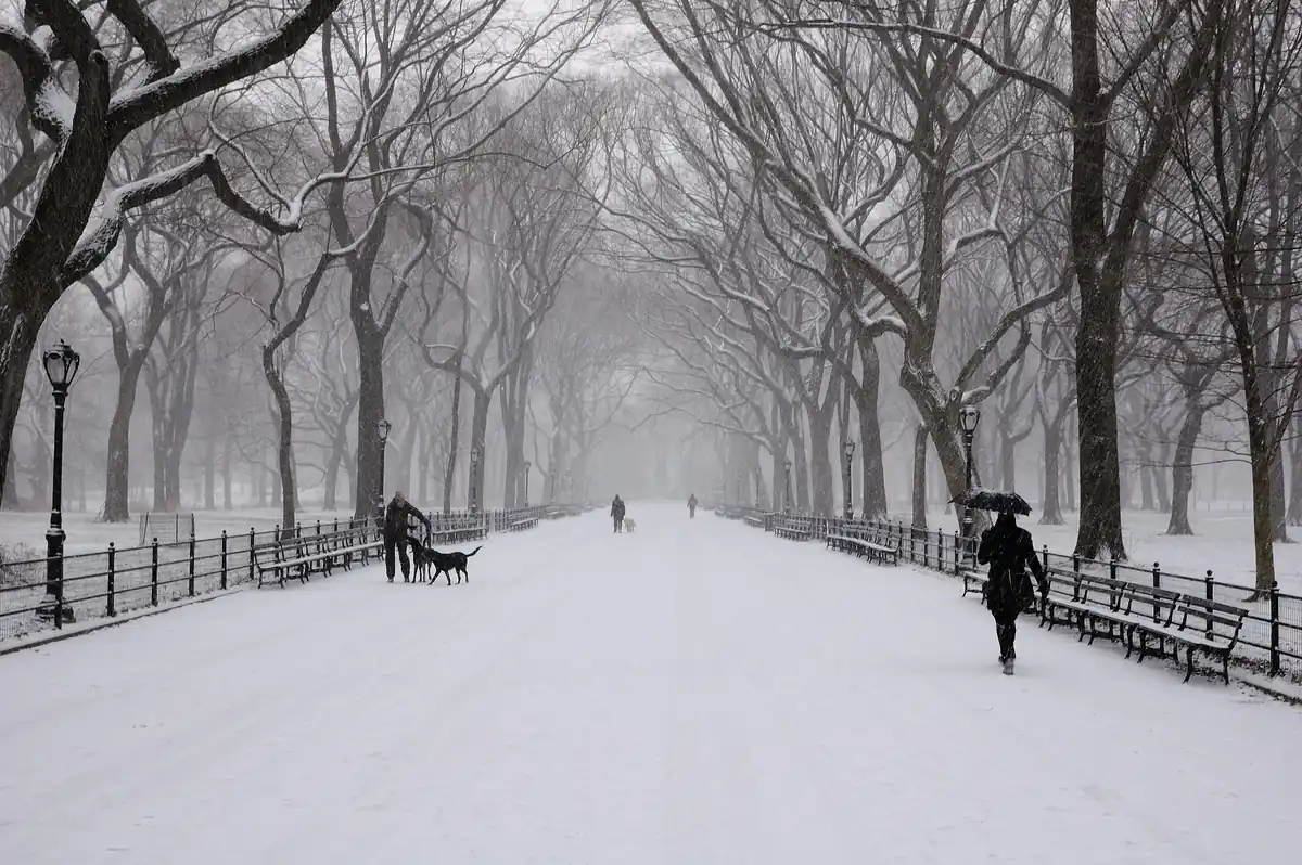 Central Park in winter with snow