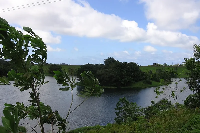 The lake at Hoʻomaluhia Botanical Garden framed by trees