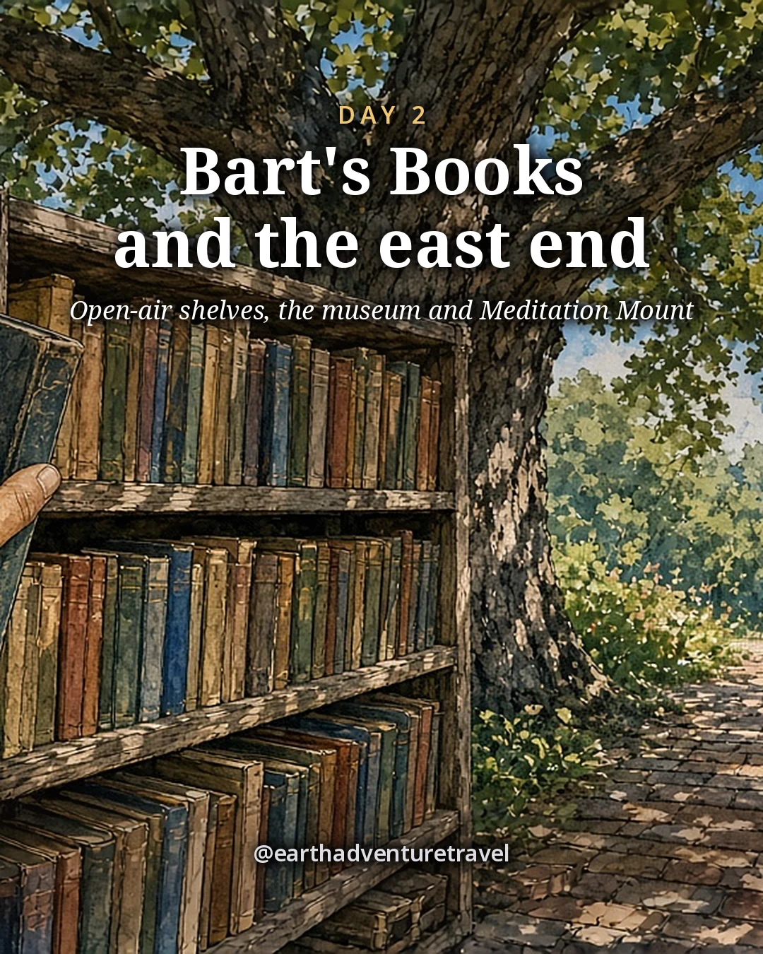 Illustration: a hand pulling a book from open-air wooden shelves of used books under an oak, a dappled path leading on, illustrated day card for Day 2