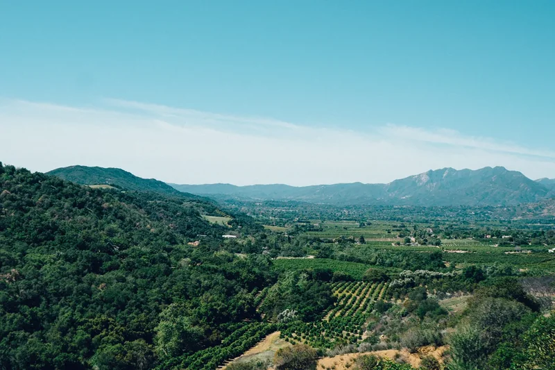 A wide green view west across the Ojai Valley toward distant hills