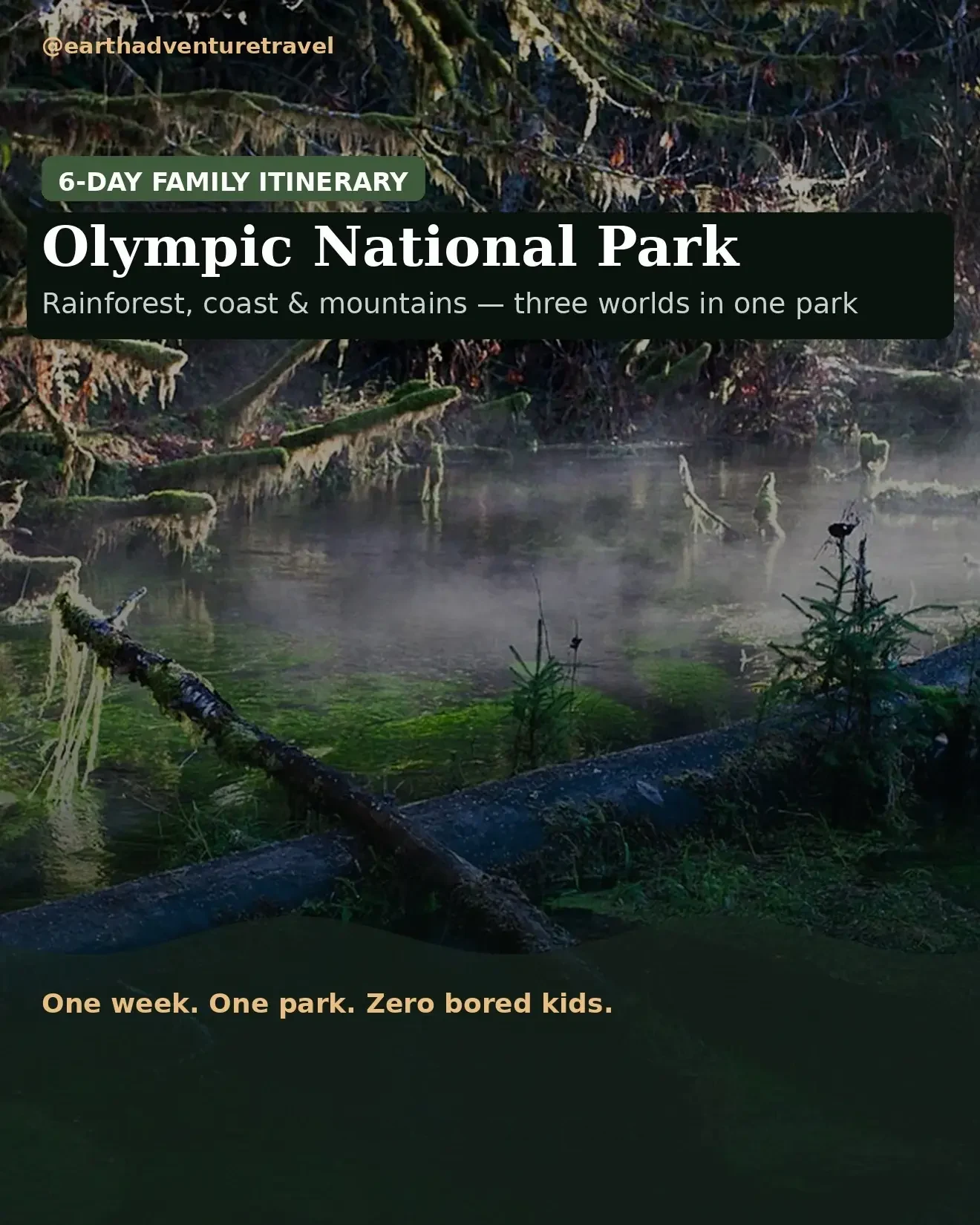 Illustrated Olympic National Park guide cover: rainforest, coast and mountains — a 6-day family itinerary