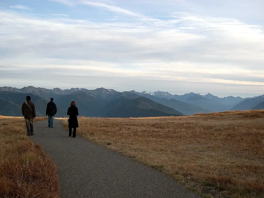 Hikers on the trail at Hurricane Ridge with the Olympic peaks behind