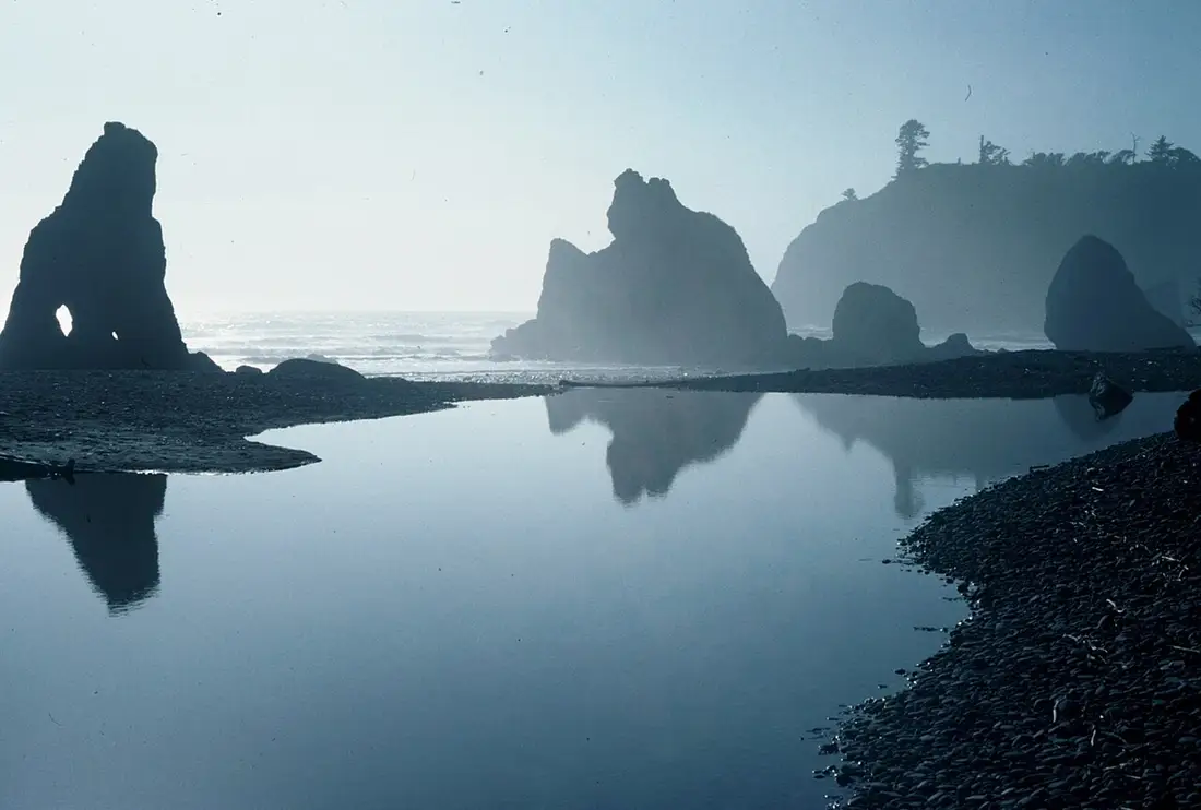 Fog rolling over the sea stacks at Ruby Beach