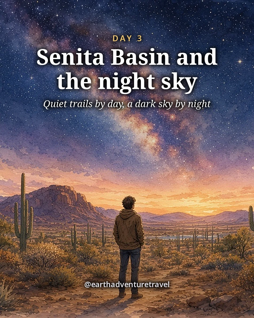 Illustration: saguaros silhouetted under the arc of the Milky Way in a dark desert basin, with one small figure looking up, illustrated day card for Day 3