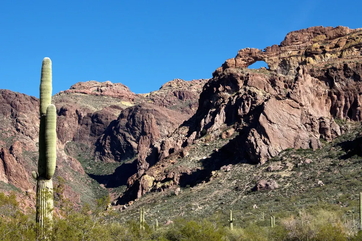 The rocky walls of Arch Canyon with a tall saguaro in the foreground in Organ Pipe Cactus National Monument