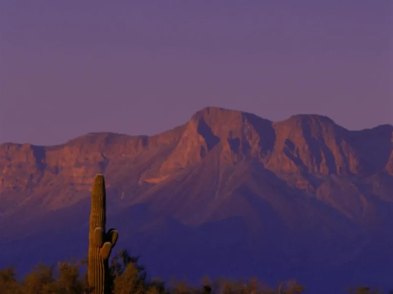 Desert mountains and saguaros in the Cabeza Prieta National Wildlife Refuge at dusk