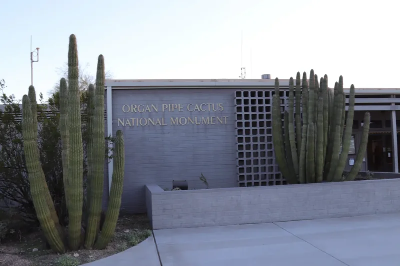 The low adobe-colored Kris Eggle Visitor Center at Organ Pipe Cactus, with desert plants out front