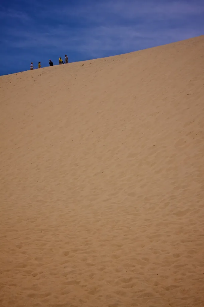 Sand dunes at Jockey's Ridge State Park