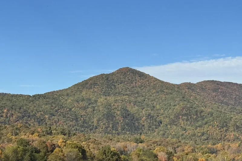 A green ridge rising above autumn woods in Cades Cove