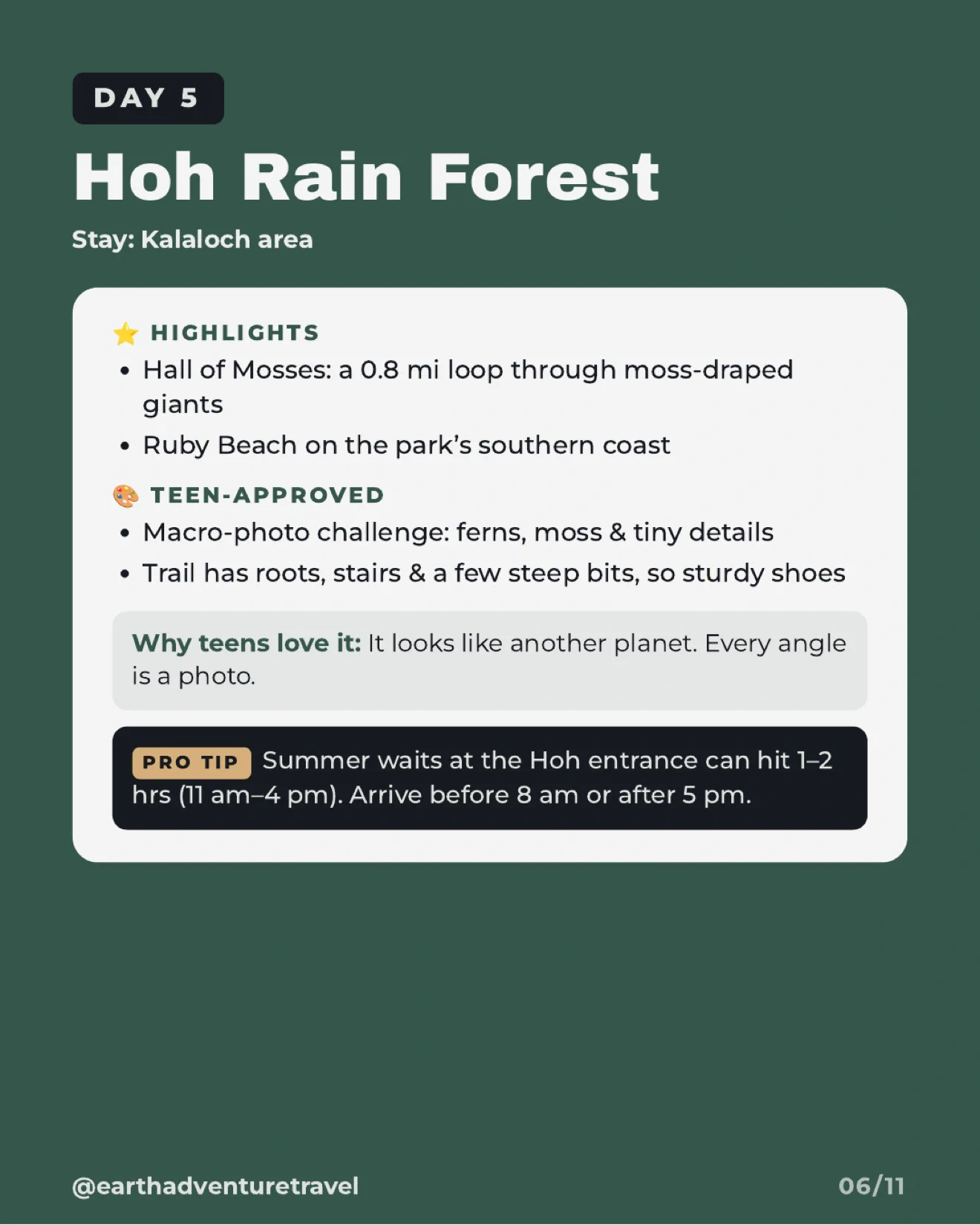Day 5 itinerary graphic for the Hoh Rain Forest and Ruby Beach