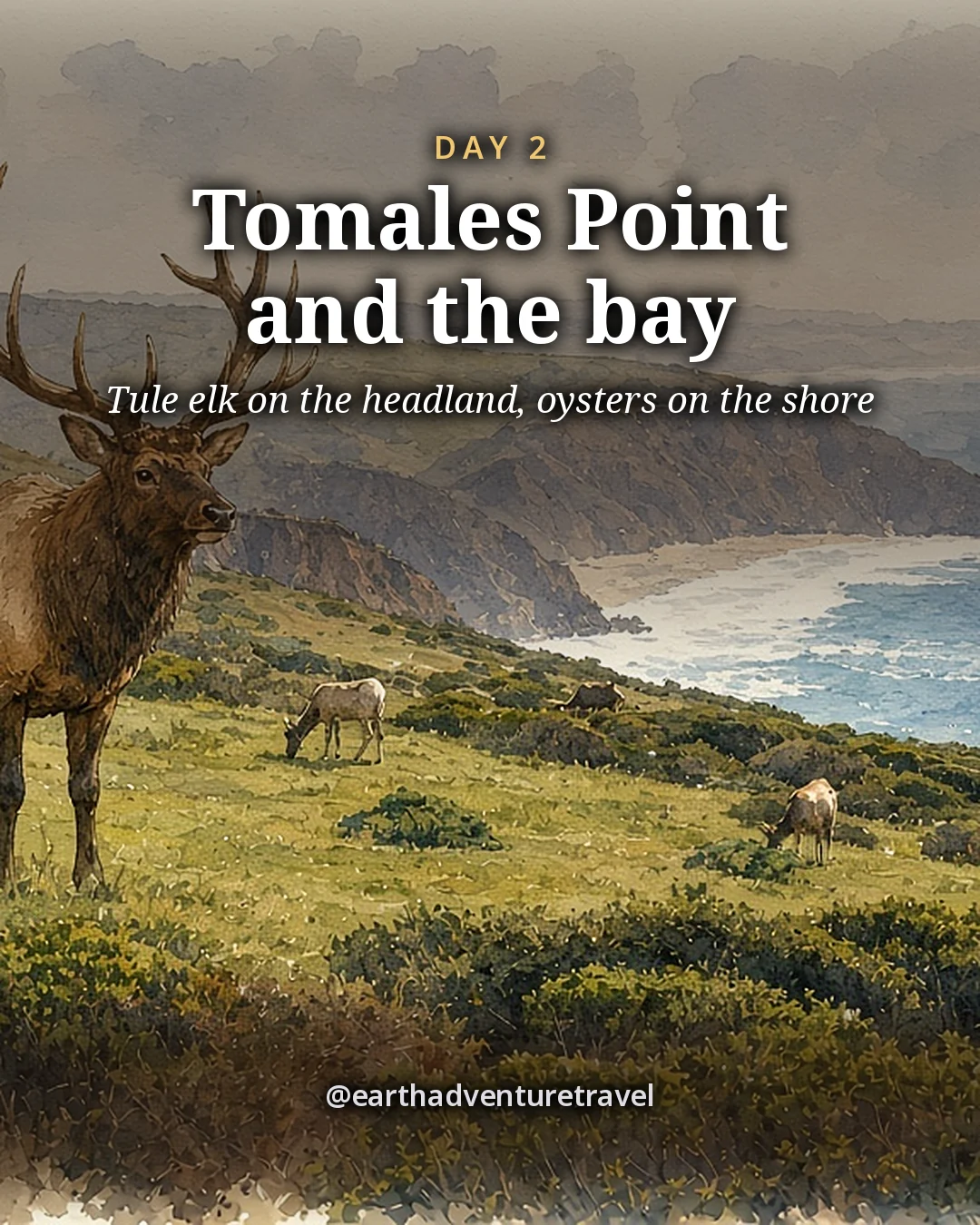 Illustration: tule elk grazing on a grassy headland above the ocean, a long narrow bay on one side and surf on the other, illustrated day card for Day 2