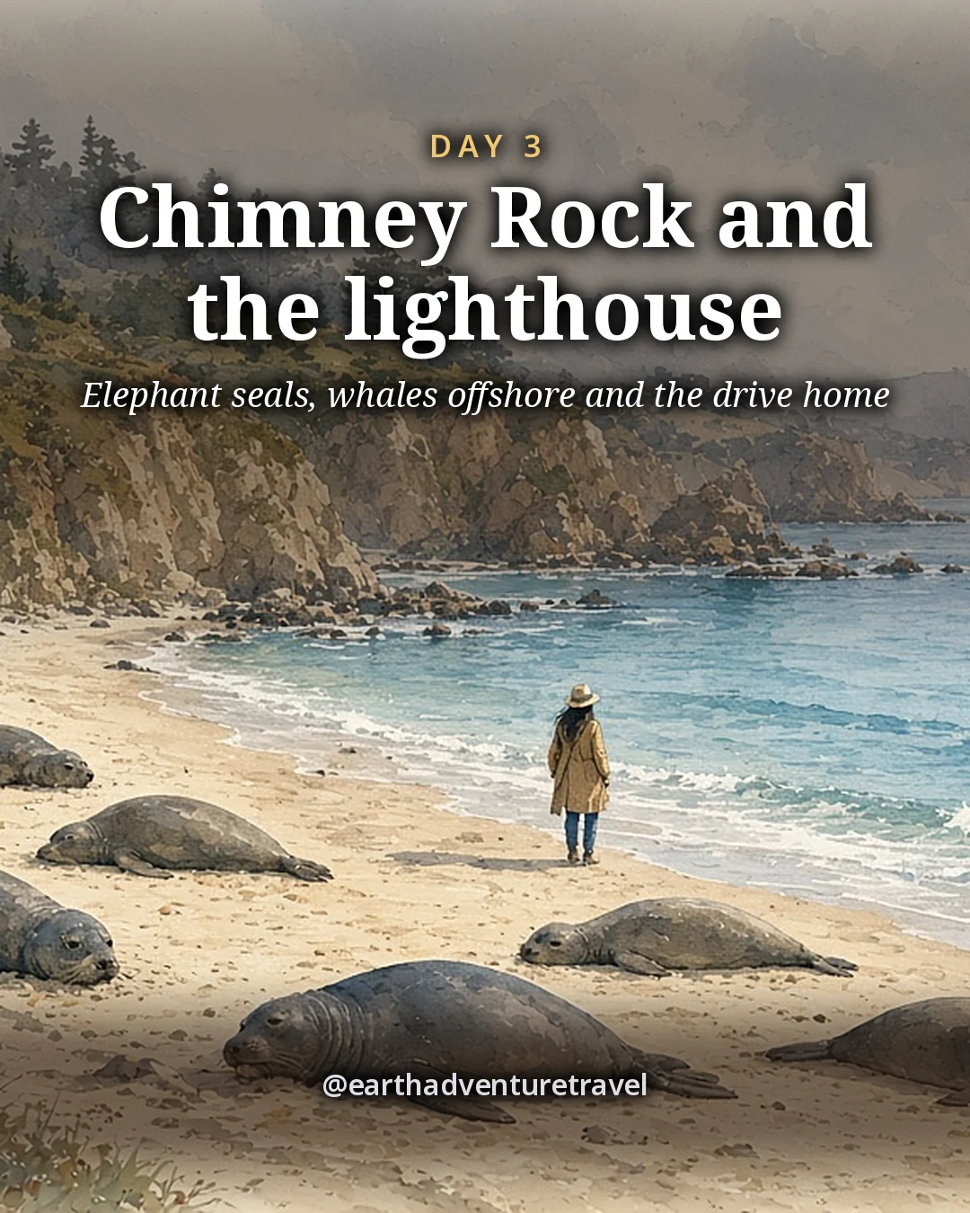 Illustration: elephant seals resting on a sheltered sandy beach below tall pale cliffs, with calm water and a rocky point beyond, illustrated day card for Day 3